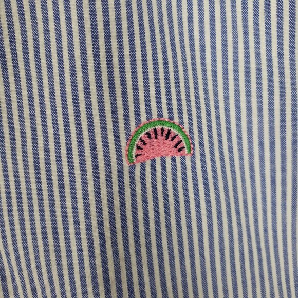 Talbots Girlfriend Chino Shorts Blue White Stripe Watermelon Embroidered 16P - Picture 3 of 6